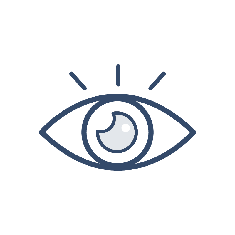Vision icon.