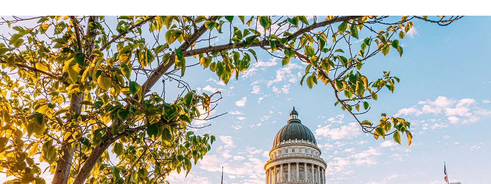 Utah State Capitol dome with tree in the foreground.